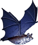 Kleine fliegende Fledermaus